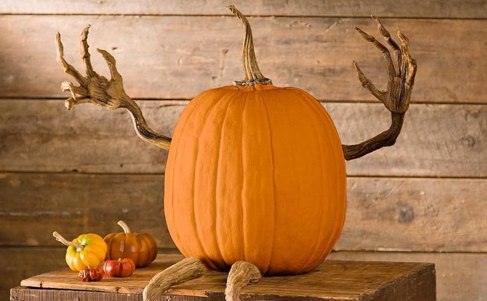 2 Legs, Iron, Orange