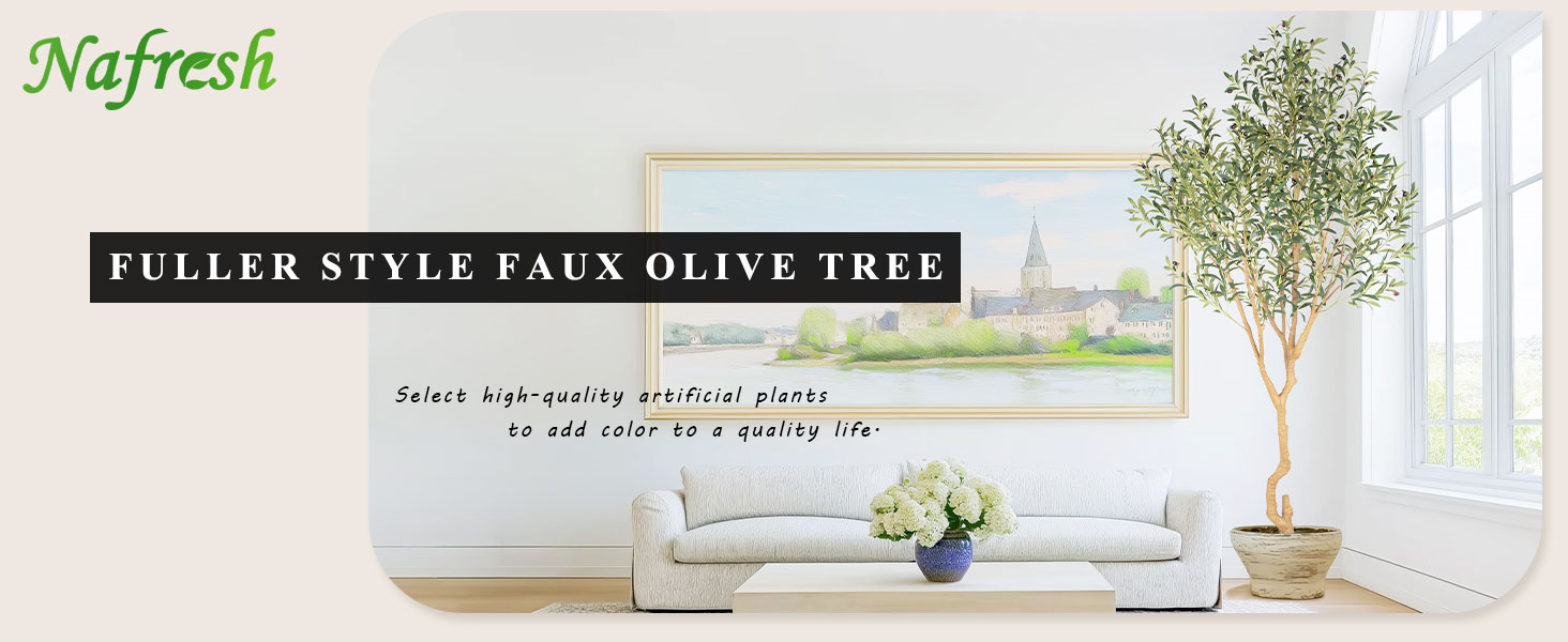 8ft olive tree