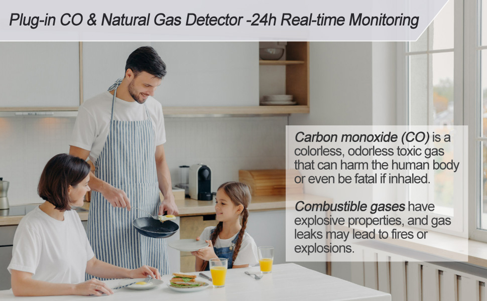 CO and Gas Alarm