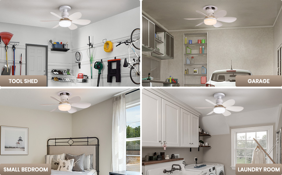 small ceiling fan with light