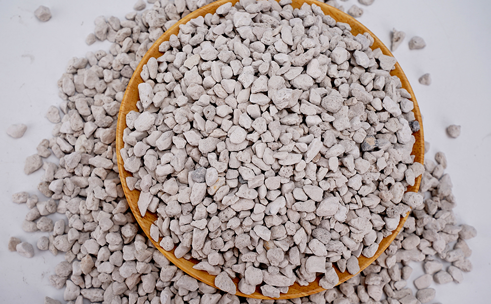 Amazon.com : Horticultural Bonsai Pumice Succulent and