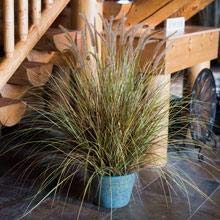 Small manufacture image 6