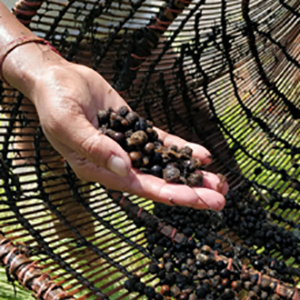 Small manufacture image 3