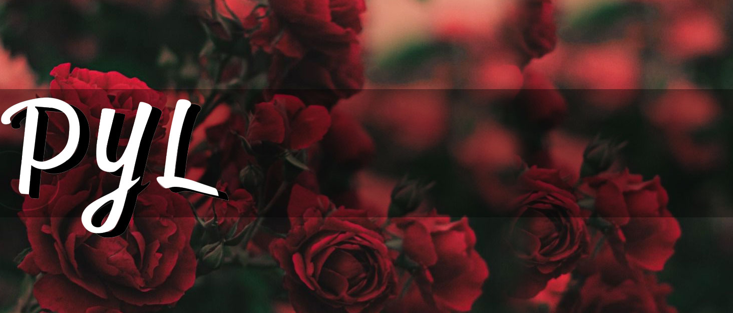 plus size leather skirt