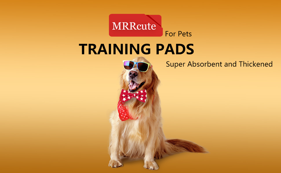 MRRcute Pee Pads for Dogs XLarge 28"x34",30 Count Thicker