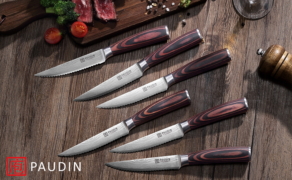 PAUDIN Steakmesser 6teiliges Set, hochwertiger deutscher Edelstahl