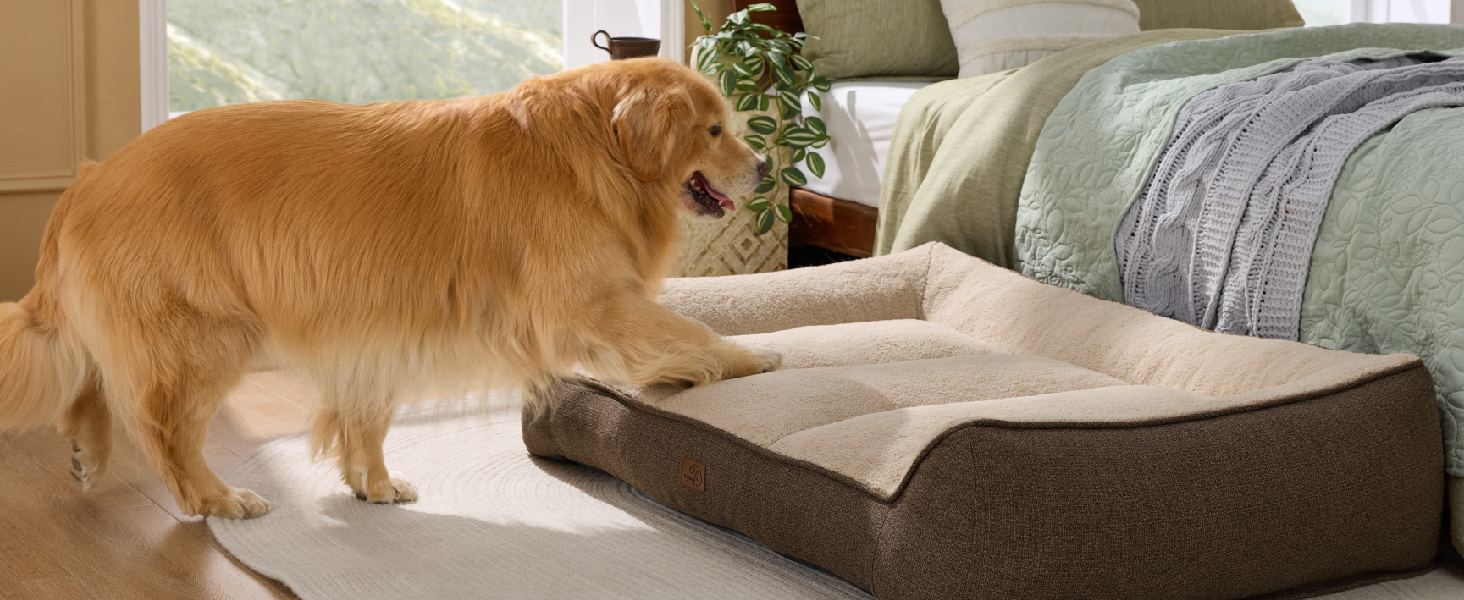 Großes Hundebett im Orthopädisch Das Bett Wirkt Dick und Gepolstert mit Stützenden Kanten.