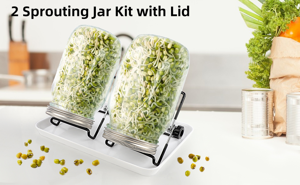 Wellehomi Sprouting Seeds Jar Kit 2 Mason Sprouter Jars 32oz Broccoli