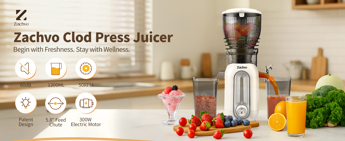 Cold Press Juicer Machines A+01