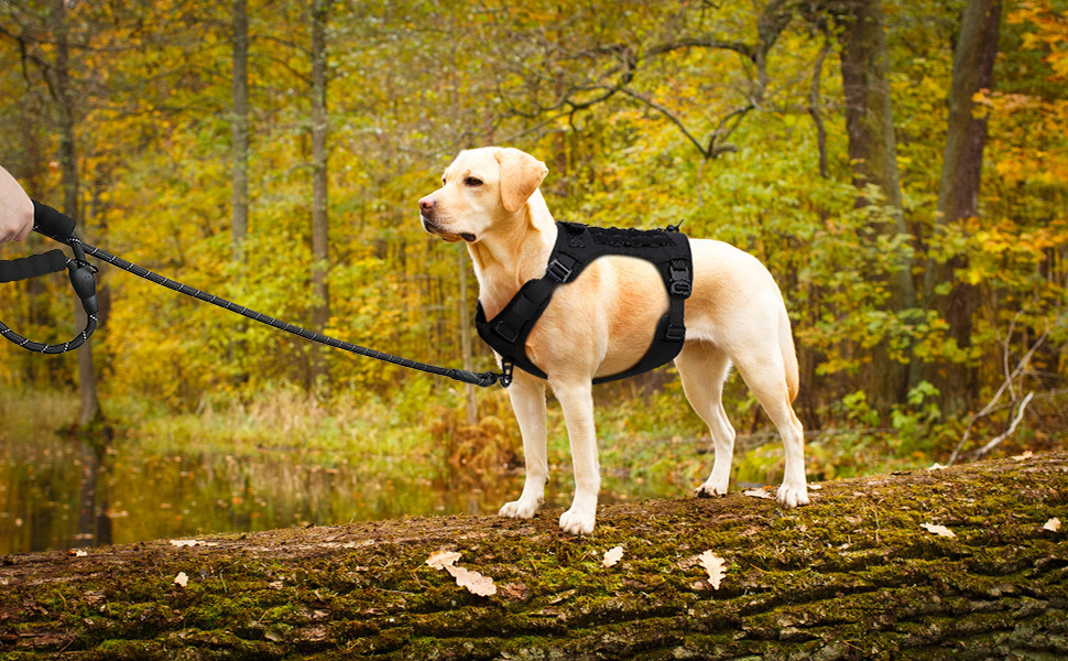 Plutus Pet Tactical Dog Harness, All Metal Buckles, No