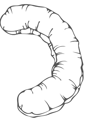 side sleeper pillow cotton