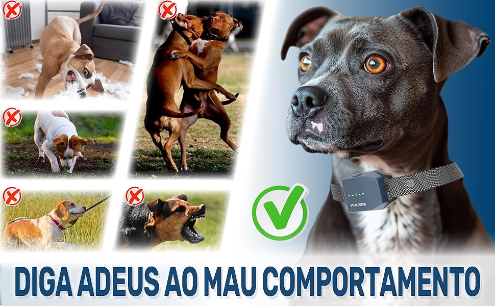 Collage showing comparison images of the dog's behavior with a black and tan dog wearing a training collar in the main photo.