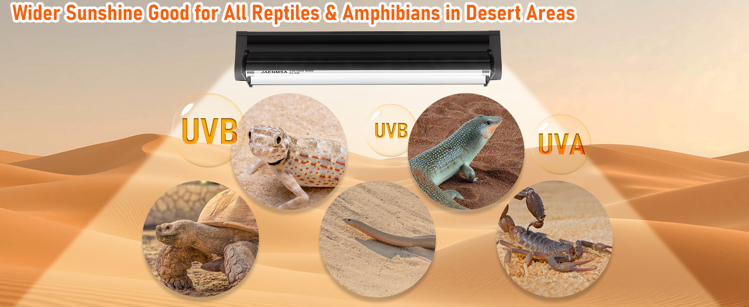 Leopard Gecko Basking Lamp Light Tube