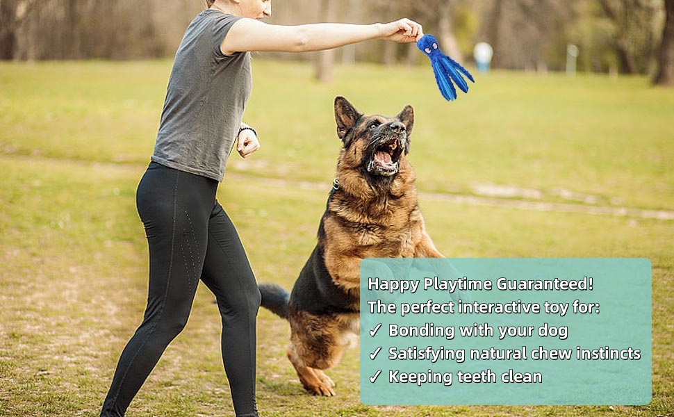 Happy Playtime Guaranteed! 