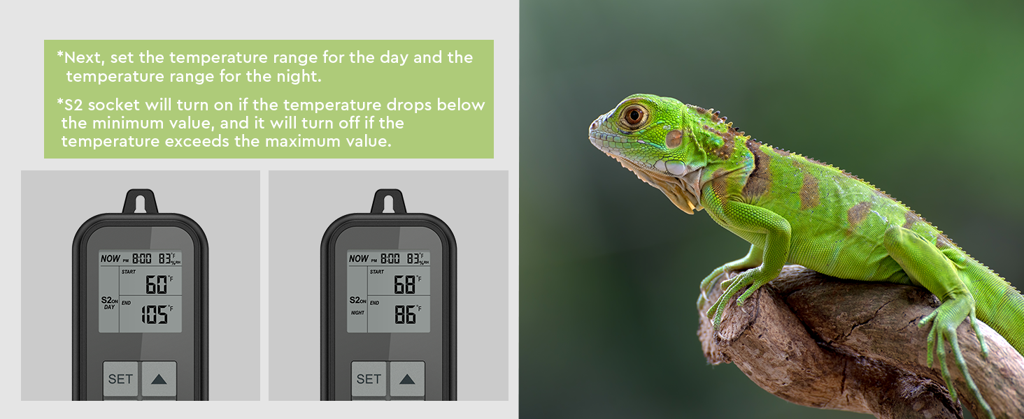 REPTITRIP Reptile Thermostat, Reptile Light Timer for Temperature and Lighting