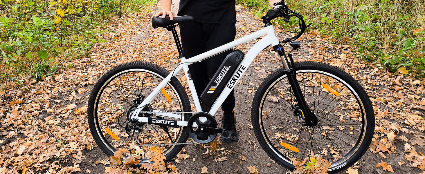ebike herren