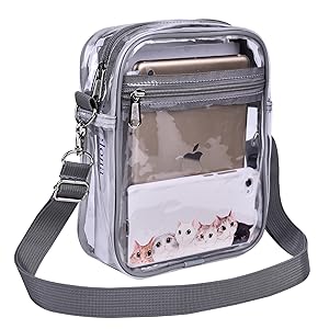 Clear Crossbody Bag