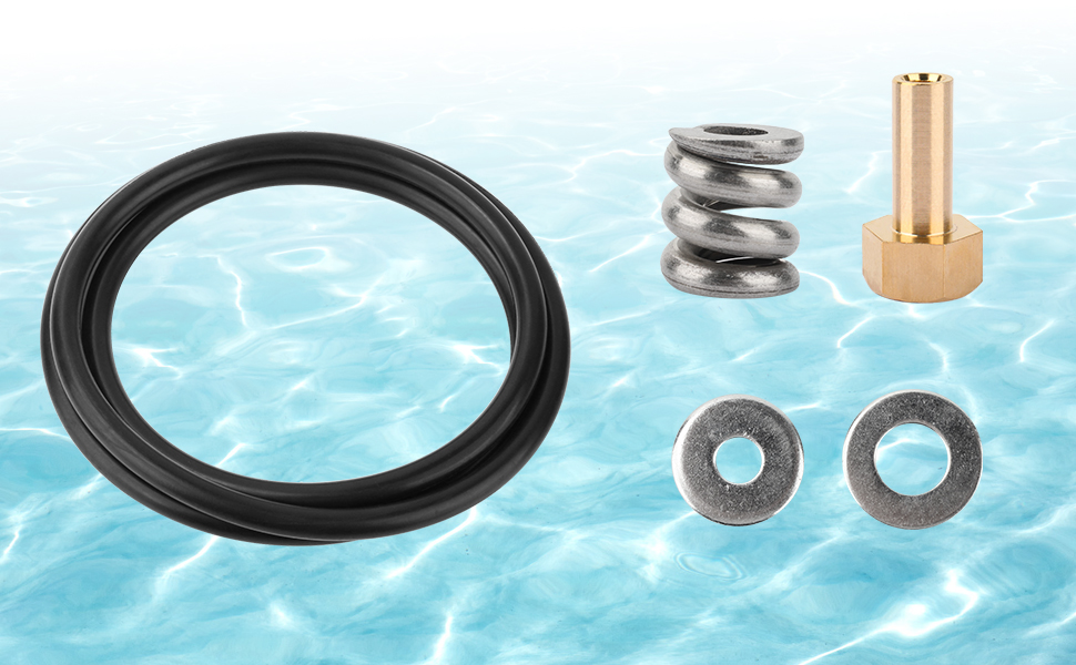 53108900 Spring Barrel Nut Assembly for Pool/Spa Cartridge