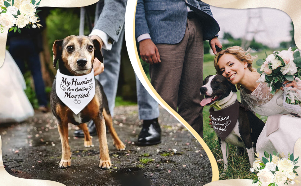 my humans are getting married dog bandana