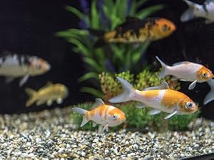 Small manufacture image 4