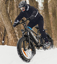 ebike