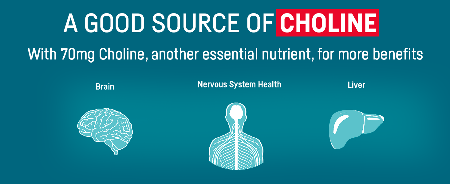 Kori Omega-3 Excel is a good source of essential choline for brain, liver, and nervous system health