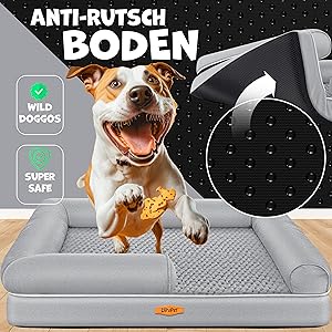 de ultieme gids voor hondenbedden