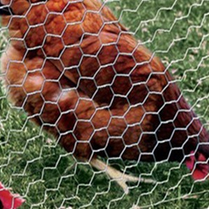 hicken Wire Net for Craft Projects,3 Sheets Galvanized Hexagonal Wire Mesh Fence