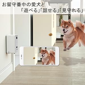 介護 ペットの見守りに！ベスアイ 介護 ペットの見守りに！ベスアイ