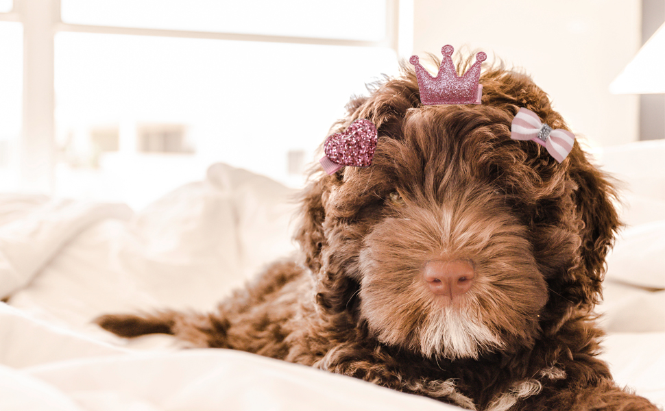 Krawatte für Tierhaare