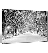 sechars Winter Canvas Wall Art Peaceful Landscape Painting New York Central Park Picture Printed ...