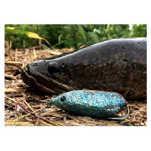 ロッド TRANSCENDENCE Trapa77B+ OLD NORTH BUTT TRANSCENDENCE(トランスセンデンス) Trapa 77/66 B+(トラーパ 77