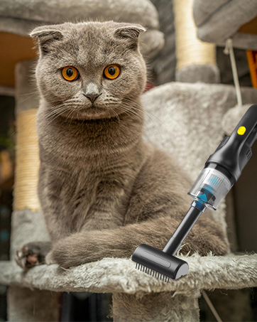 Car Vacuum