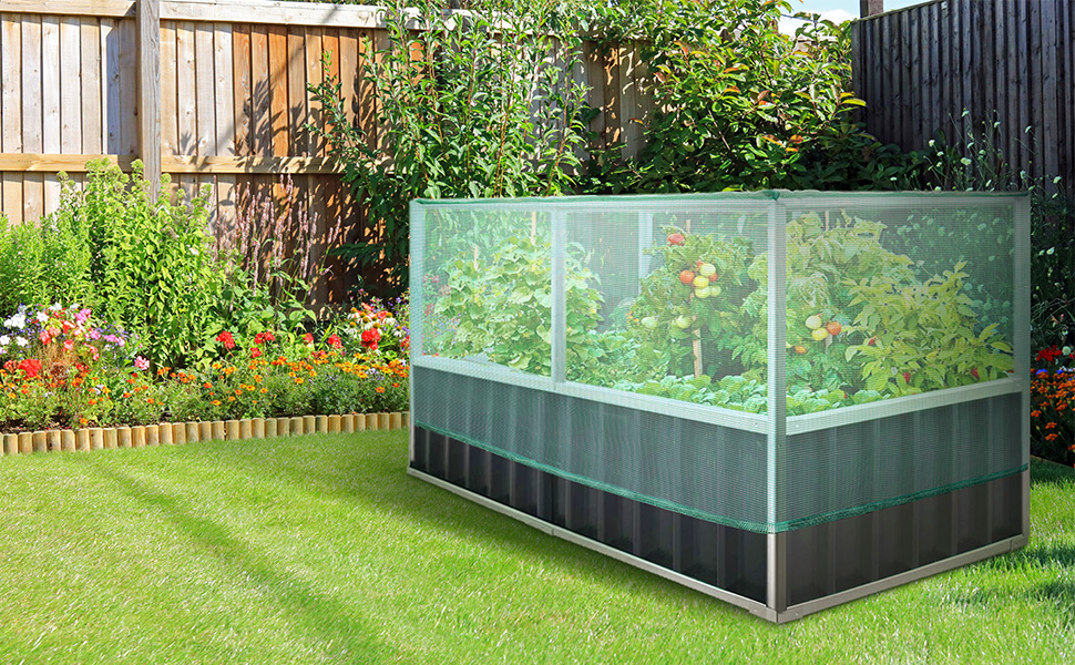 KING BIRD Raised Garden Bed with Garden Anti Bird