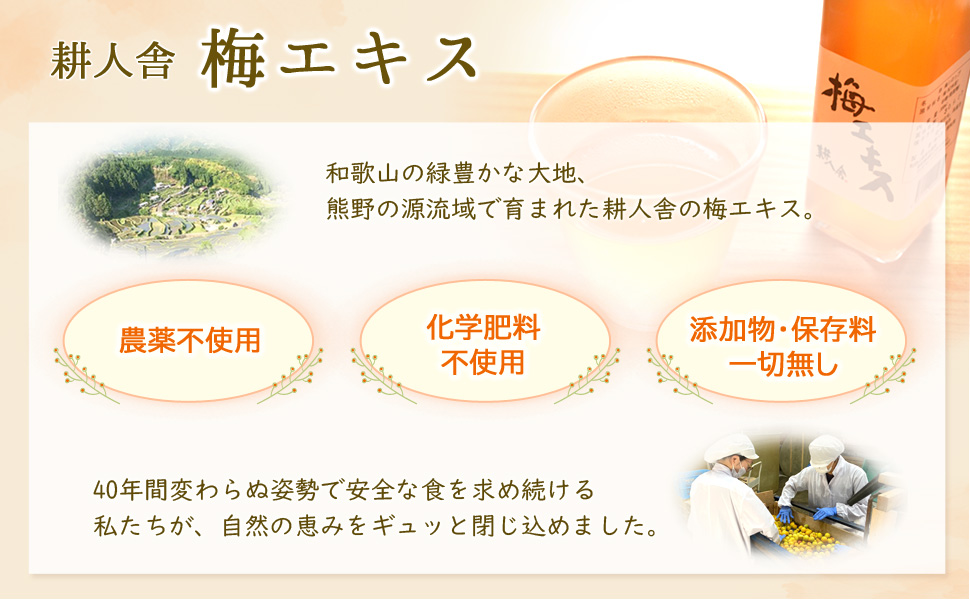 自然の恵み 11年の時を経て 300ml 埼玉養蜂 太陽の恵 純粋はちみつ 300gx12 4973882114355 1セット