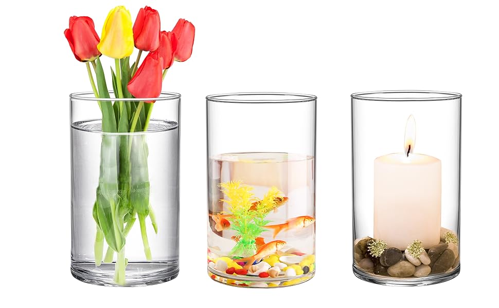 Frcctre 8 Pack 6 Inch Glass Cylinder Vases, Clear Glass