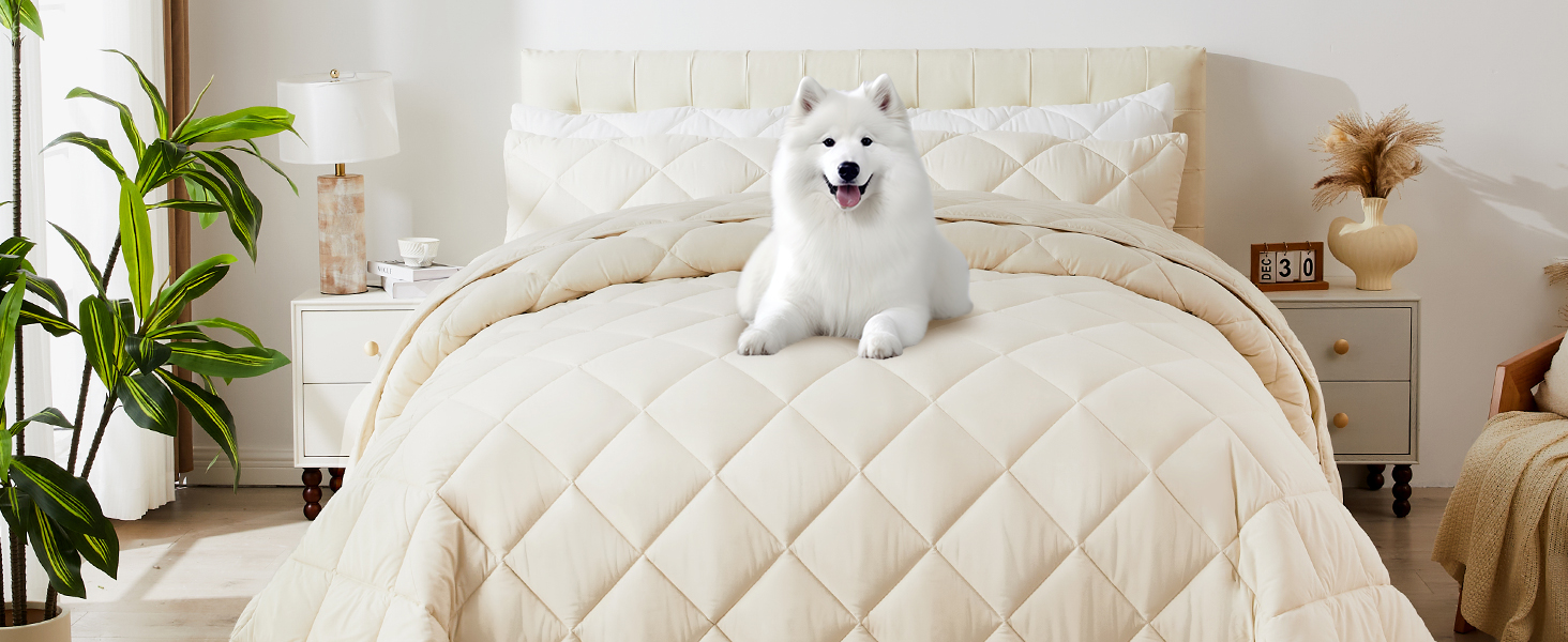 ENJOHOS Extra Large King Beige Comforter & Pillow Cases Set Bee4571c 4875 4ebf 890d 147b8fcd774d. CR0,0,1464,600 PT0 SX1464 V1