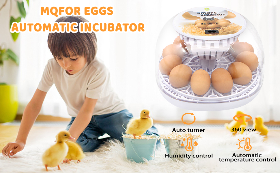 Incubators for Hatching Eggs, Egg Incubator for Chicken