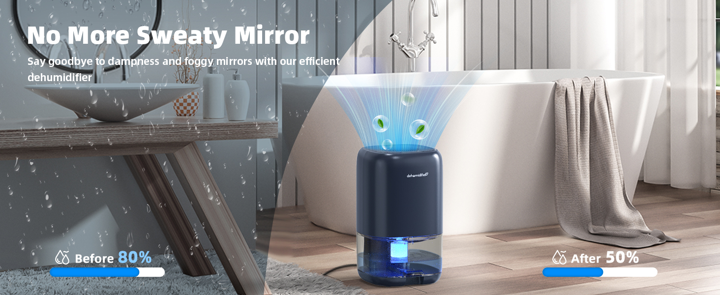 dehumidifier for bathroom