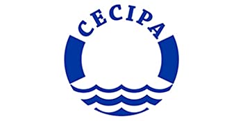 CECIPA Evier Cuisine 1 Bac 40 X 45 X 22 CM - Évier En Acier Inox 3mm Épais Pour Meuble De 40 Cm MIN - Pose À FLEUR De Plan Ou à ENCASTRER, Avec Siphon, Trop-Plein, Distributeur De Savon Non Inclus 11 evier 1 bac