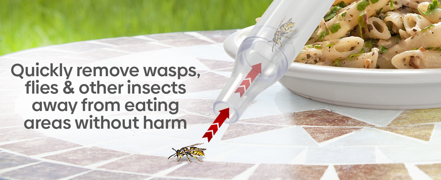 Large manufacture image 5