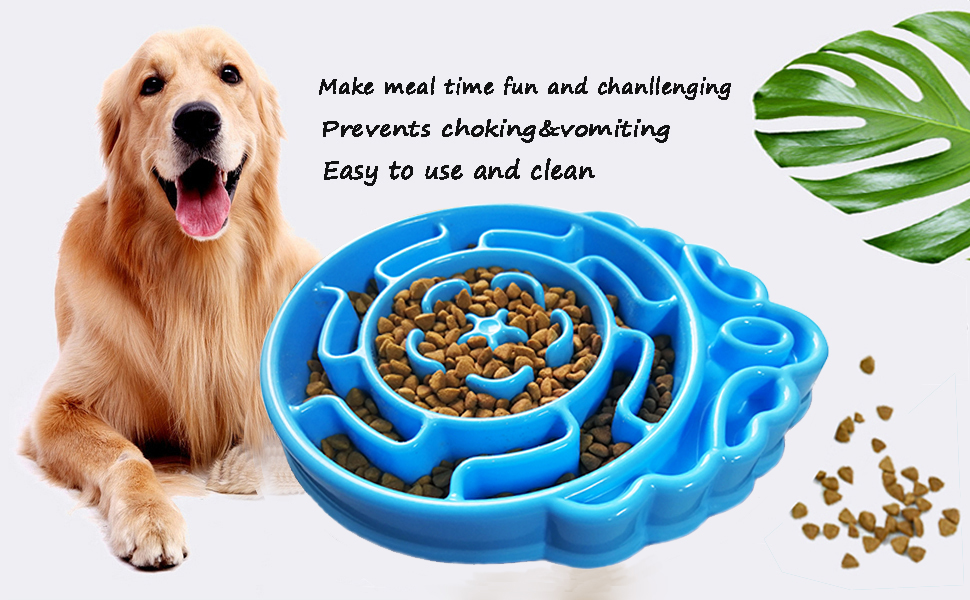 Amazon.com: CHONGTA Dog Bowls Slow Feeder, Dog/Cat Puzzle