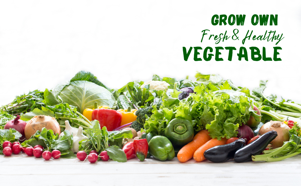 ORGANIC BAZAR Premium All Season Vegetable Seeds Kit with High