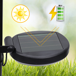 Solar Flower Lights