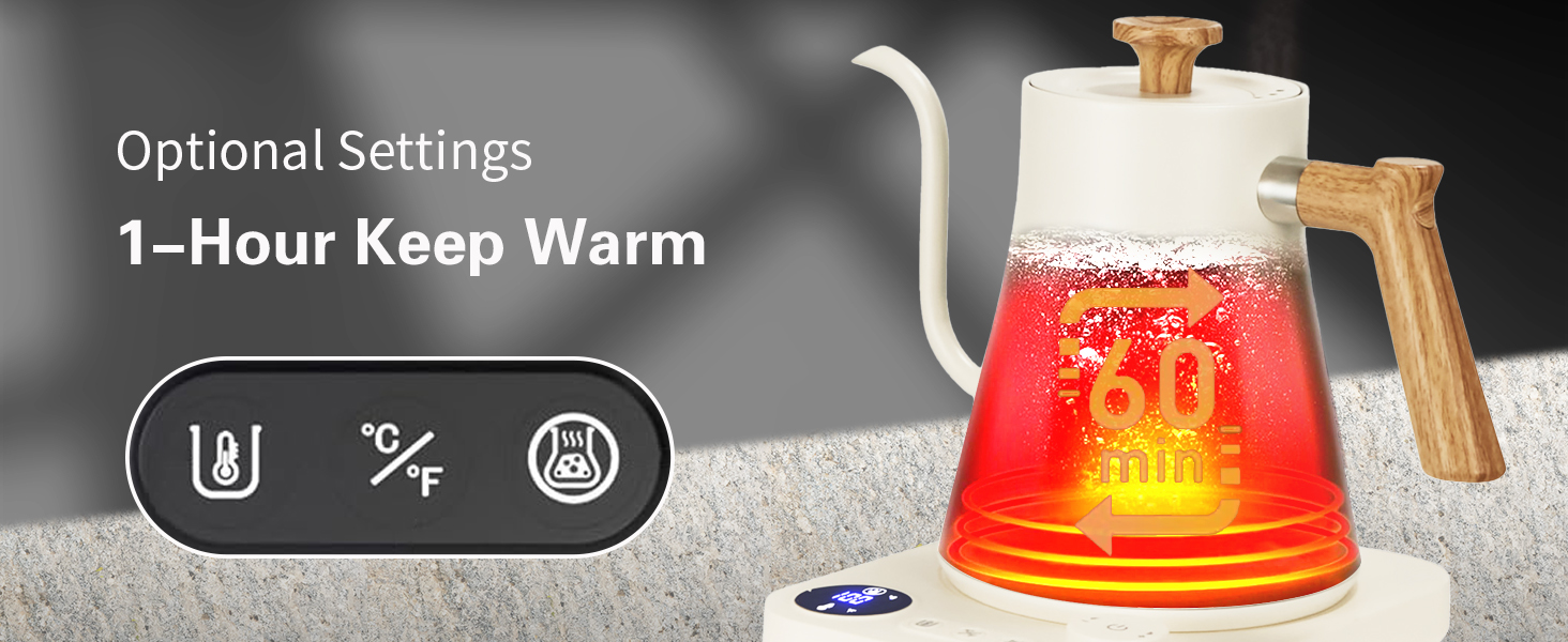 GOOSENECK ELECTRIC KETTLE