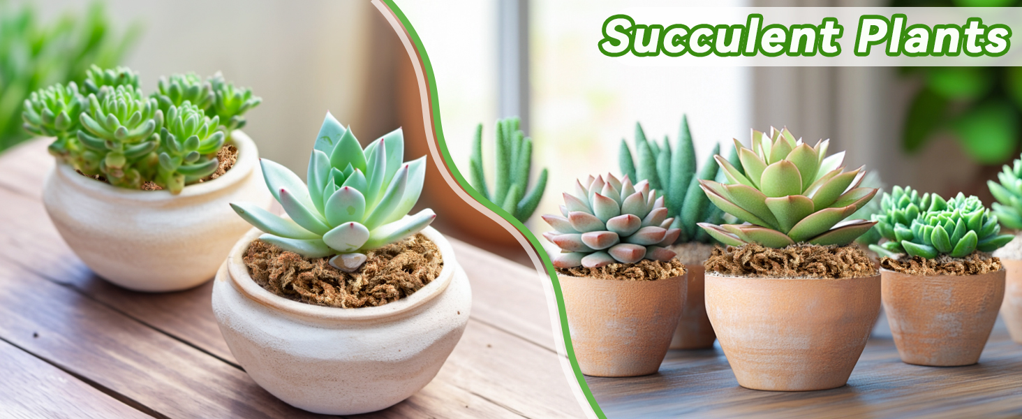 moss for potted plants peat moss orchid moss sphagnum moss bale long fibered sphagnum moss