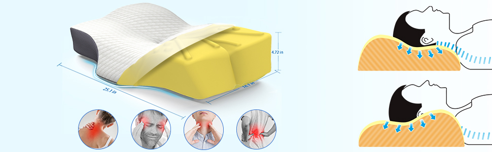 Contour Memory Foam 6