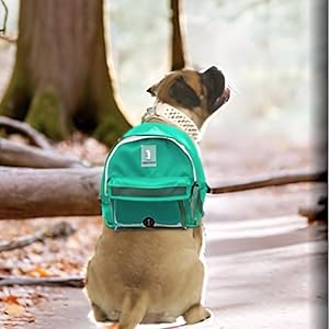 backpack for dogs to wear dog backpack for hiking dog bags dog treats bag dog poop bags holder  