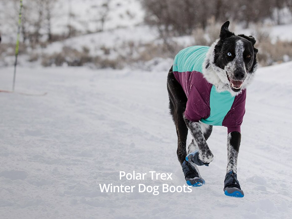Ruffwear Polar Trex mont-bellドッグシューズ 黒/青 Polar Trex™ Winter Dog Boots | Snow Boots for Dogs | Ruffwear