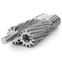 Stainless Steel Twin Gears